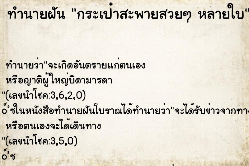 ทำนายฝัน กระเป๋าสะพายสวยๆ หลายใบ